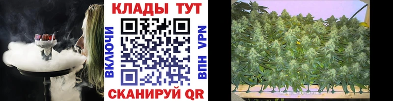 Виды наркоты Выборг Бошки Шишки А ПВП Кокаин МЕТАДОН Мефедрон Гашиш