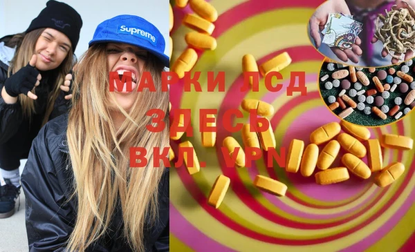 шишки Верея
