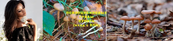 спайс Верхний Тагил