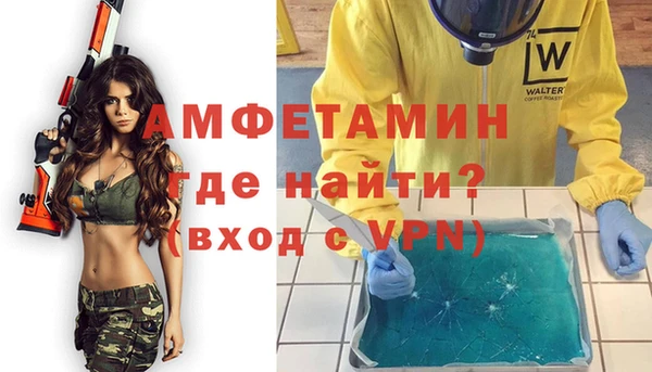 шишки Верея